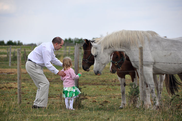 Meeting the horses 1